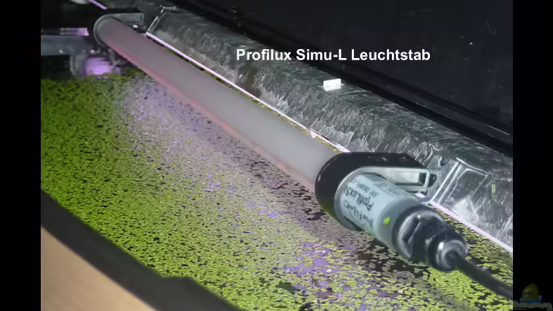 Mir ist der Simu-L für Blitze zu schwach! von The_Lizardking (15)