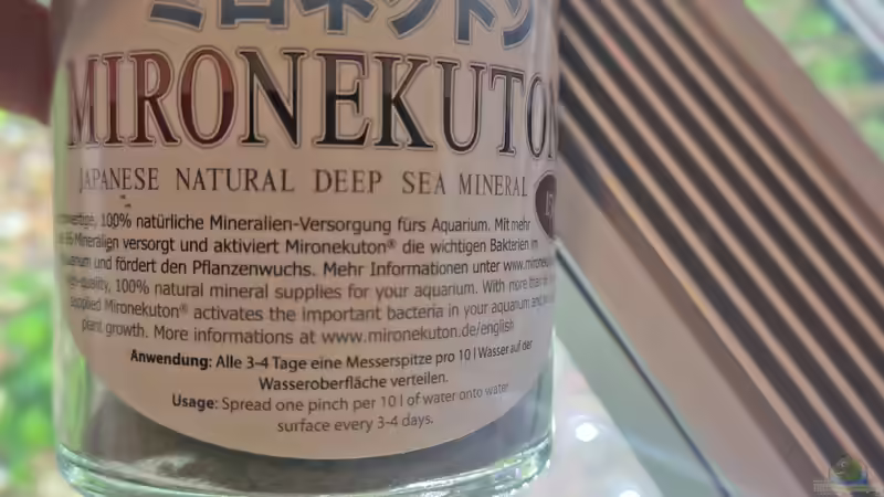 Mironekuton nach dem Wasserwechsel am 21.12.2025 von C-NA (26)