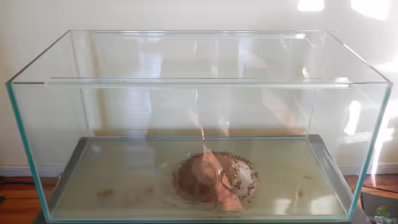 Mischung aus roter und weißer Lehmerde. von miv (6)