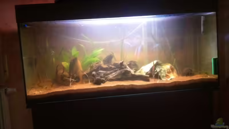 Mit 180 Liter Angefangen jetzt am Abend 300 Liter  von Alexander Alexander (8)