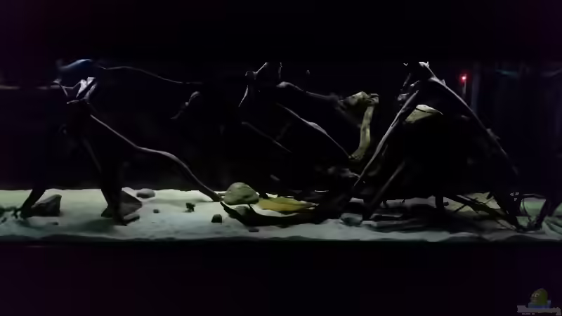 mit 25% Beleuchtung von Bernd N. (6)