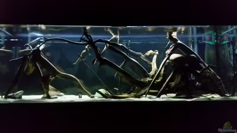 mit 50% Beleuchtung von Bernd N. (8)