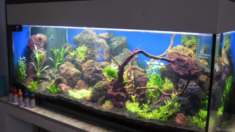 mit Abdeckung nach 4 Wochen von Bartosz Jung (4)