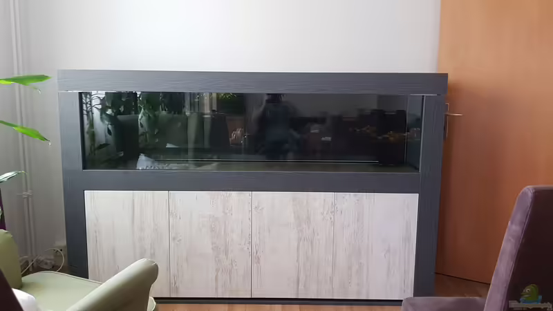 mit Abdeckung von Tabu (4)