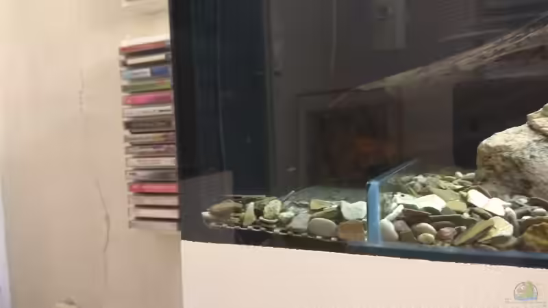 Mit Aquarienkleber Steine geklebt um die Lochplatten optisch zu kaschieren von pacho (9)