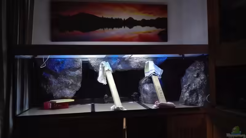 Mit Aquasilikon an der Rückscheibe geklebt von Heike Fuchs (20)