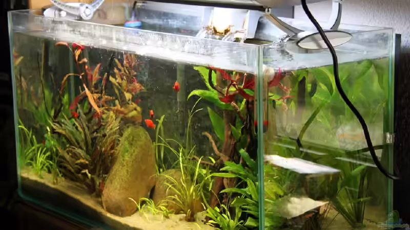 Mit Aufsetzleuchte (Altes Layout) von Mitch22 (13)