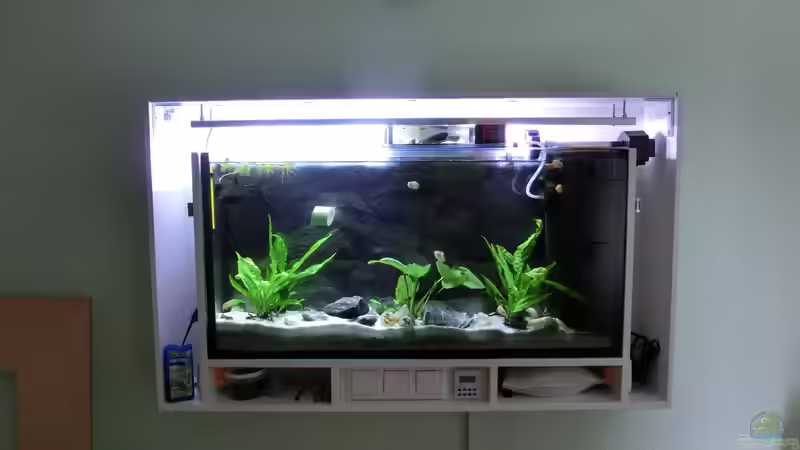 Mit Babybecken von The BugZ (3)