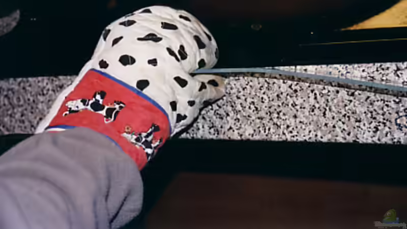 Mit Backhandschuh, damit man sich nicht die Finger verbrennt. von Ingo Hornung (10)