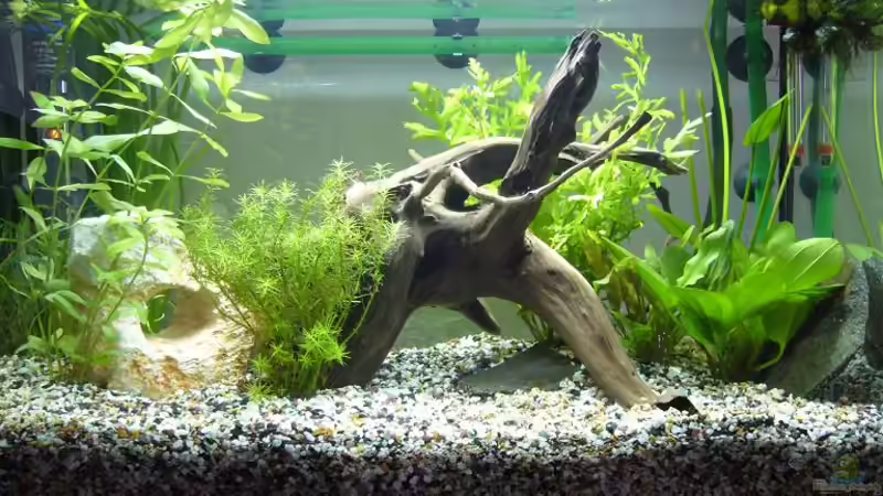 mit Beleuchtung tag 12 von Sunnyboy_72 (3)