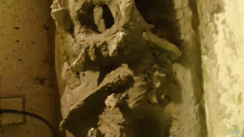 Mit Beton bestrichen von Couro (28)