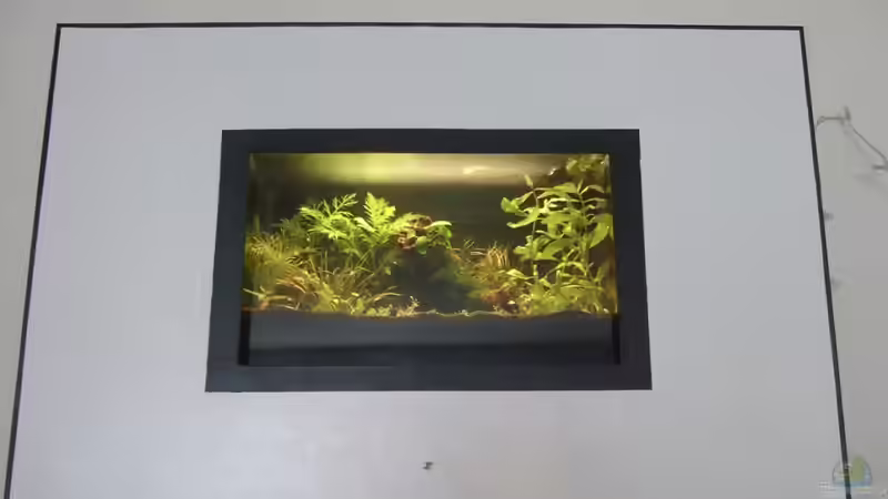 mit Blende, zu Beginn von lukasg (4)