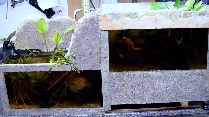 mit Blitz...um das rückwärtige darstellen zu können von Falk (13)