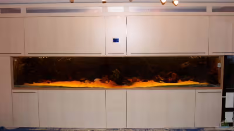 mit Blitz fotografiert von Barbara Langenberger (5)