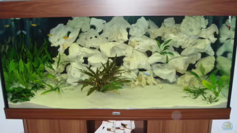 Mit Blitz fotografiert von Baysal (2)