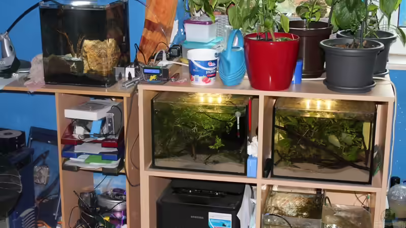 Mit Blitz von chrisi01 (4)