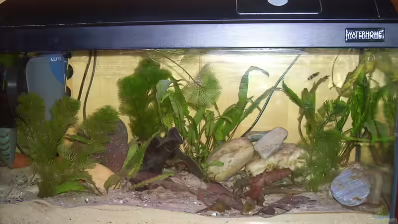 mit Blitz von Exotist (4)