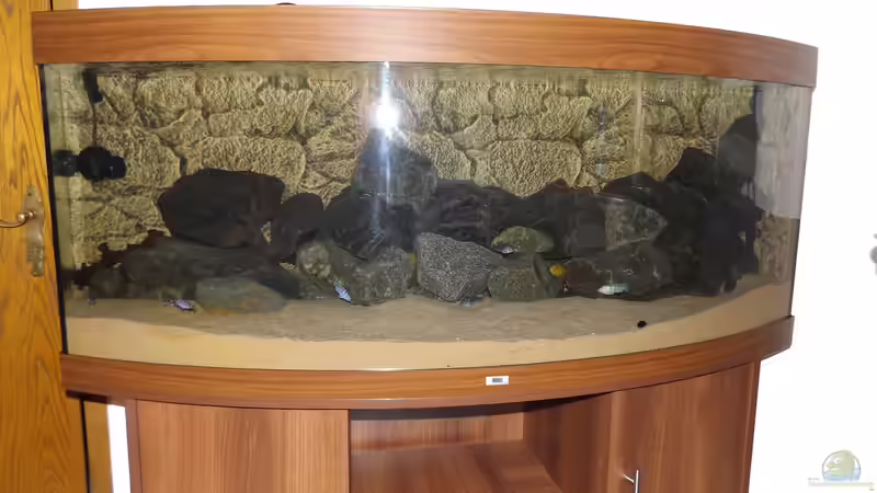 Mit Blitz von O-Conner (3)