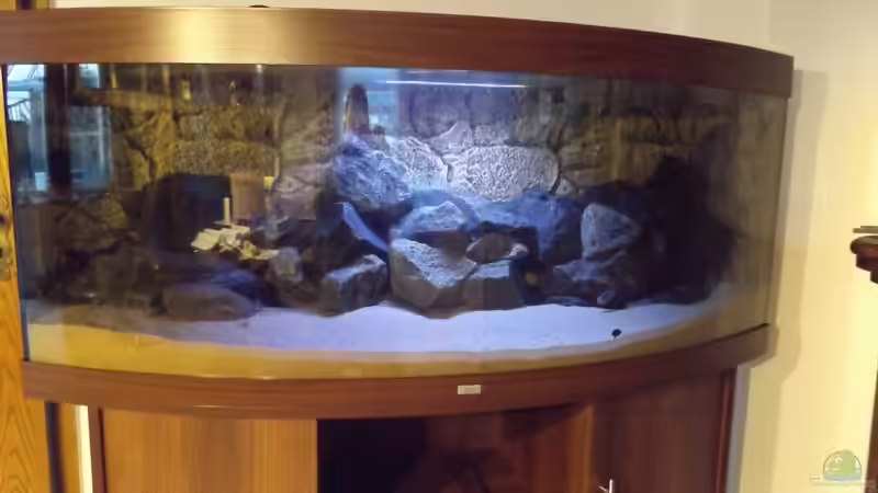 Mit Blitz von O-Conner (5)