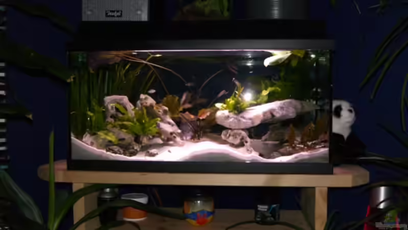 mit Blitzlicht: hier hat der sand eine realistischere Farbe von Stefan Anhalt (3)