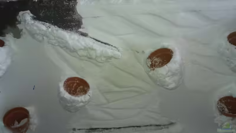 Mit dem Messer Fürchen reingekratzt,mit grobem Schleifpapier bearbeitet von Sebastian Müller (31)