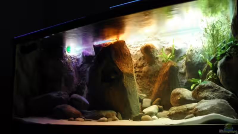 mit den Folien von Franek (10)