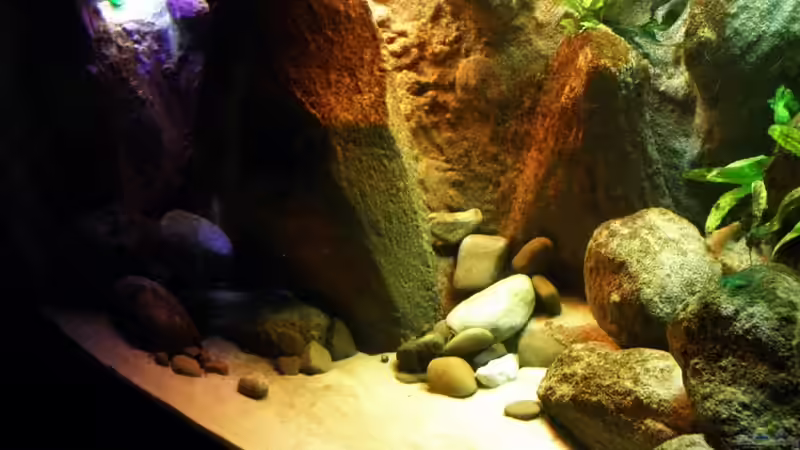 mit den Folien von Franek (13)