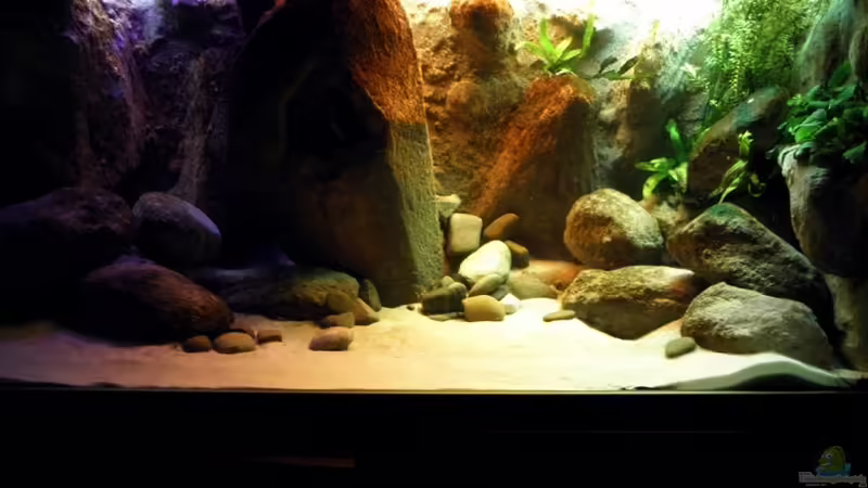 mit den Folien von Franek (14)