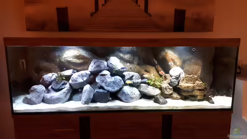 Mit den neuen Steinen von Malawi22 (15)