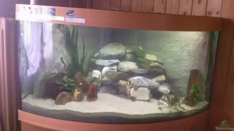 Mit der neuen Rückwand von Daniela Birrer (2)