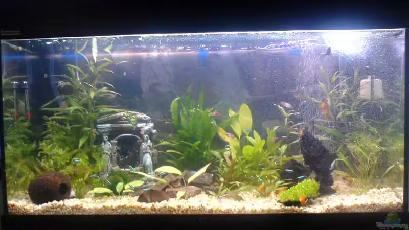 Mit der neuen Rückwand von Oli (3)