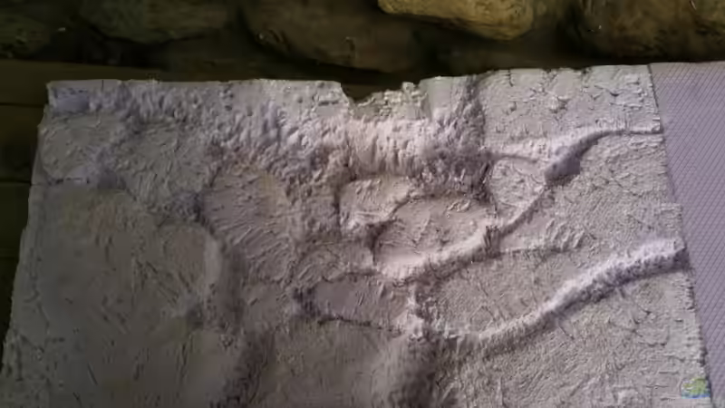 mit Details von Exotist (33)