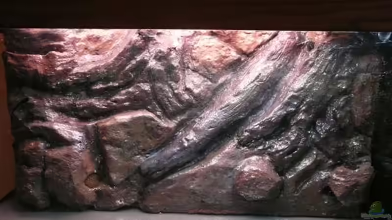 Mit E45TM Aquariumharz versiegelt von Andreas Fuchs (10)