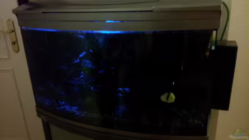 mit eingeschaltetem Mondlicht von Kathrin77 (40)