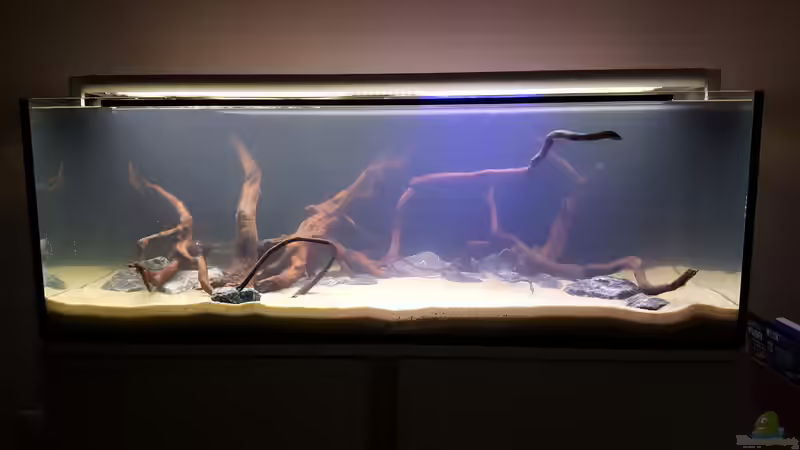 Mit etwas Mondlicht... von frutolino (4)