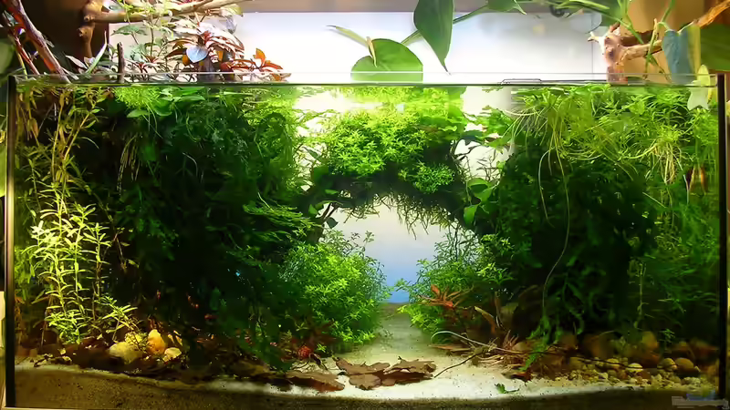 mit Hintergrundbeleuchtung blau von Fredo Fuss (14)