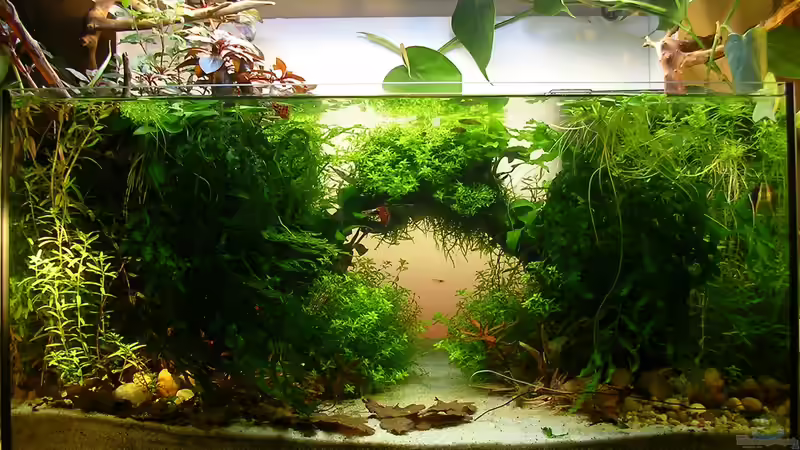 mit Hintergrundbeleuchtung rot von Fredo Fuss (15)