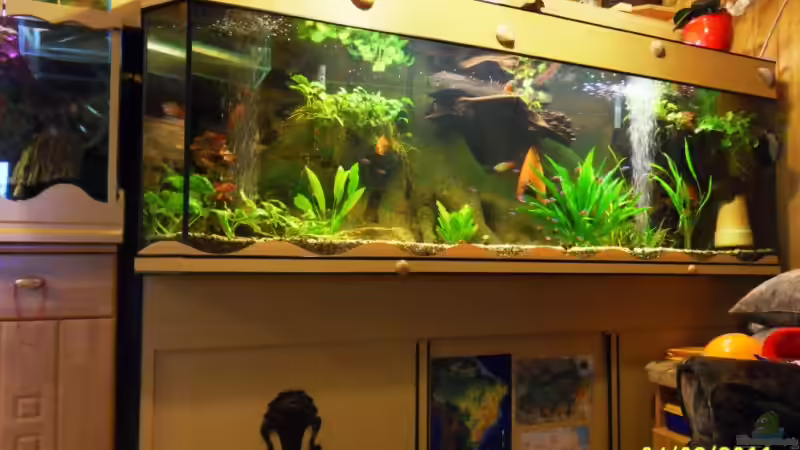 Mit Klebefolie verschönert, mit Holzwurzel neuen Unterstand an die Rückwand befestigt von Ulrich Sauerhering (38)