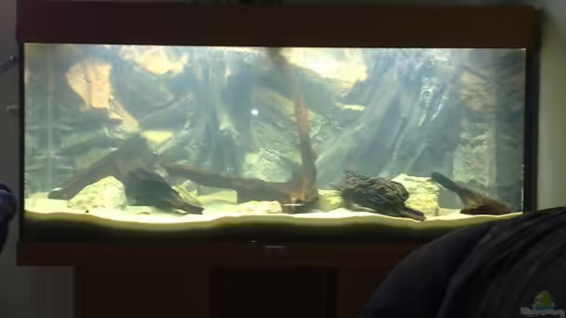 mit kompletter Deko von Thomas Oetjen (21)