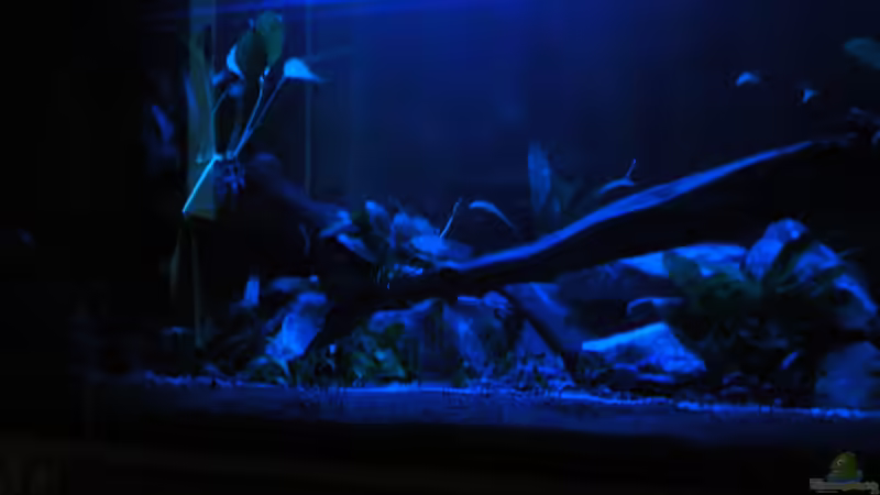 mit langzeitbelichtung von 1 sekunde von Falk Bellmann (10)