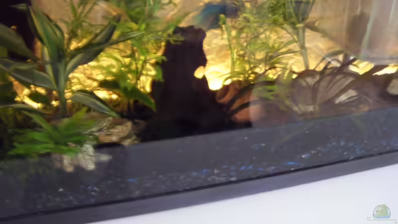 Mit Led Beleuchtung von Jörg Loidl (2)