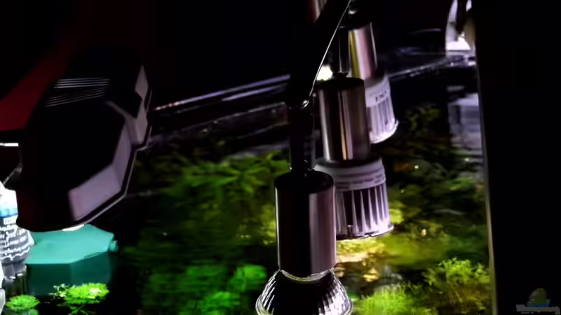 Mit LED-Spots für eine natürliche Unterwasserwelt sorgen