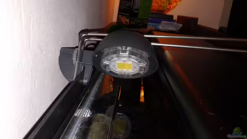 Mit LED-Spots für eine natürliche Unterwasserwelt sorgen