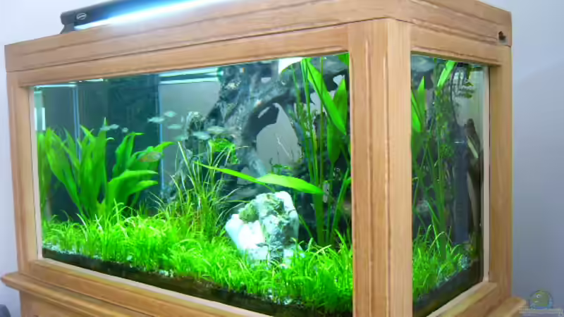 mit lichtbalken von Oliver Gursky (3)