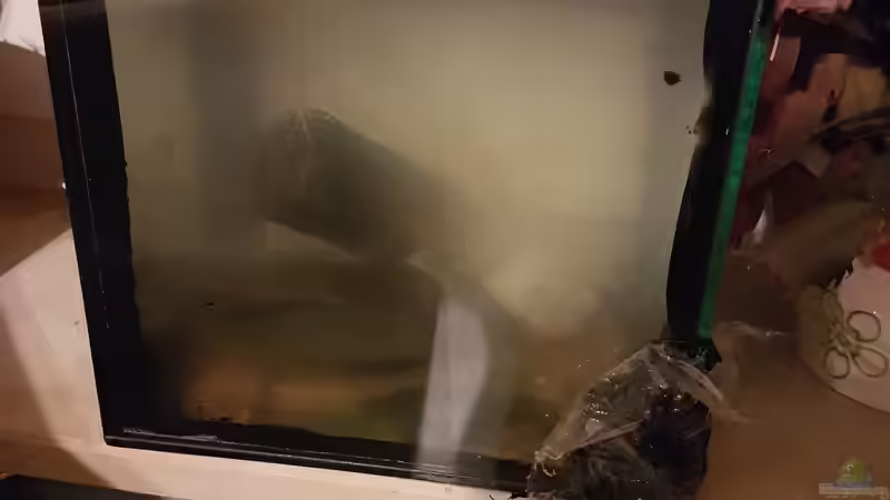 Mit liquizell  von Kevin Engelsberger (4)