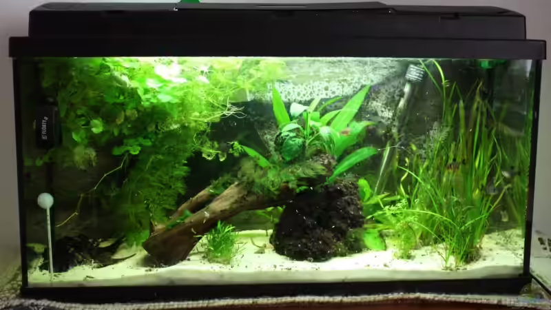 Mit neuem Filter von Manuela (5)