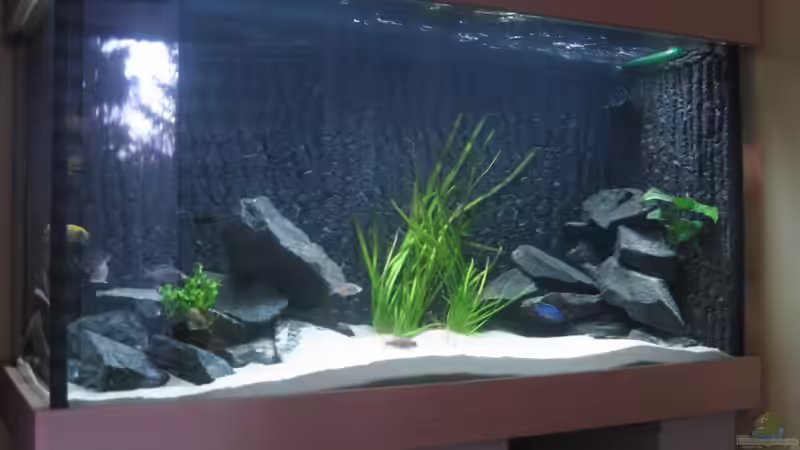 Mit neuen Pflanzen von Delta (6)