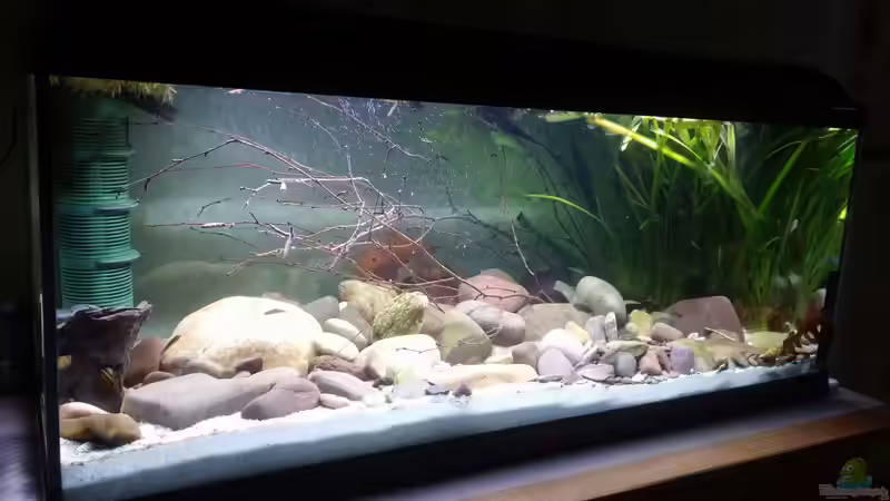 Mit neuer Beleuchtung  von Miss Kasimir (11)