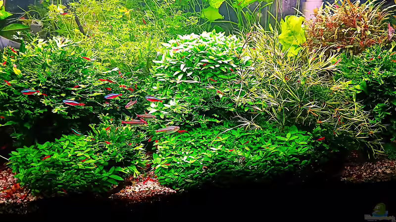 mit neuer Beleuchtung von odin 68 (20)