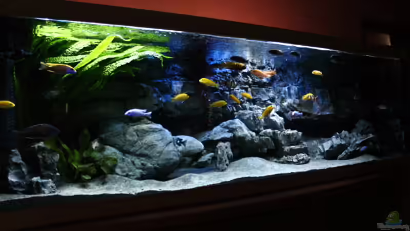 Mit Polar von Frank Hopp (23)